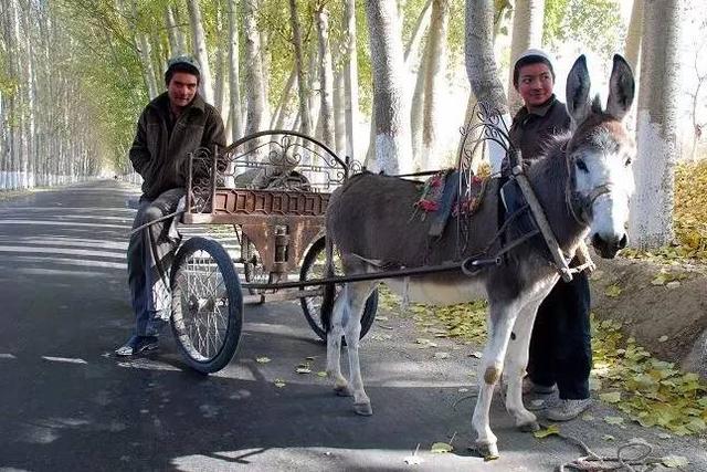 南疆自驾环线，一条就能尽揽南疆的风光与民俗的大环游！